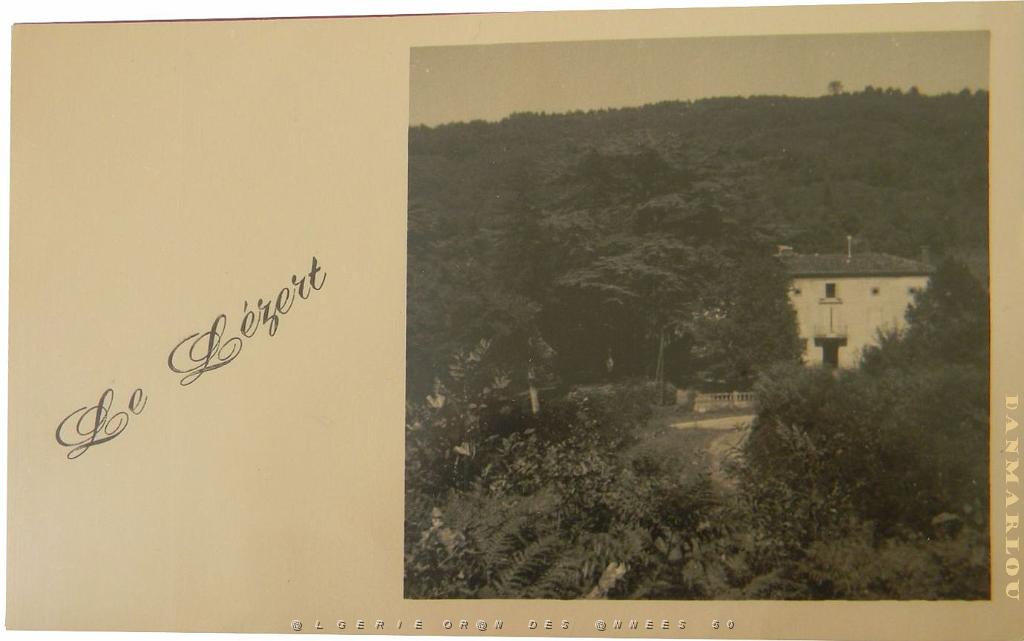 COLO LE LEZERT CASTRES TARN DAMES AFRICAINES MARAVAL 19XX N03.jpg